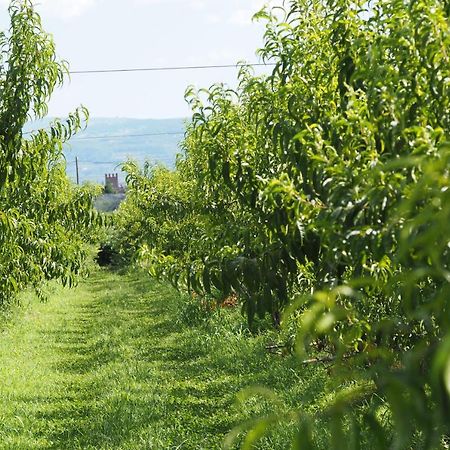 Agriturismo Fior Di Maggio Пескантина Экстерьер фото