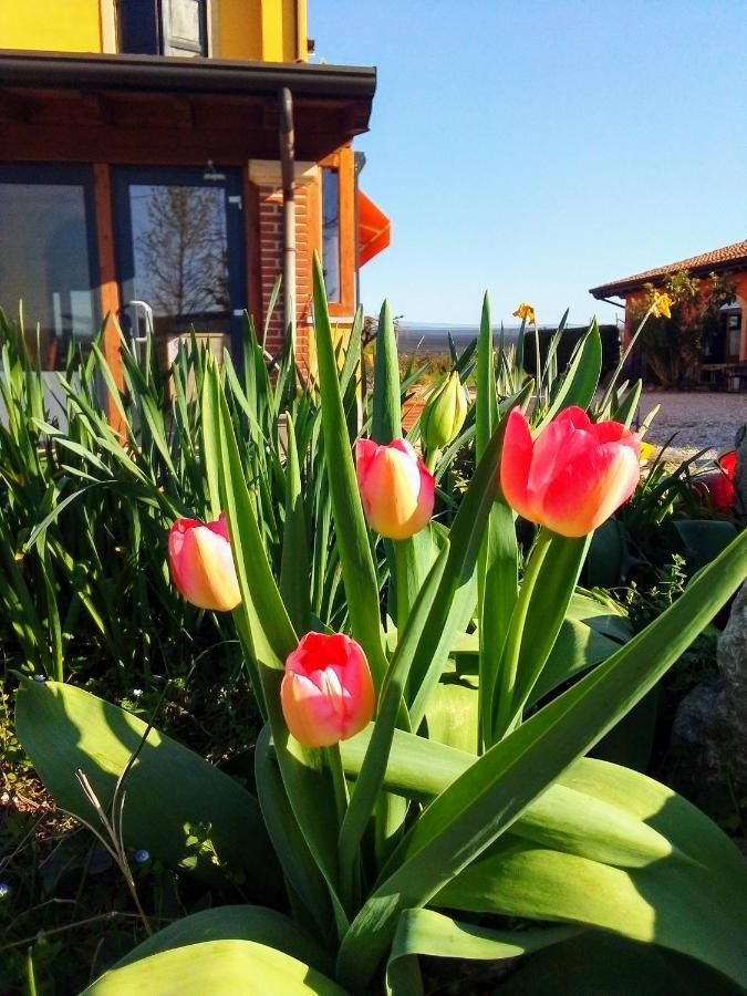 Agriturismo Fior Di Maggio Пескантина Экстерьер фото