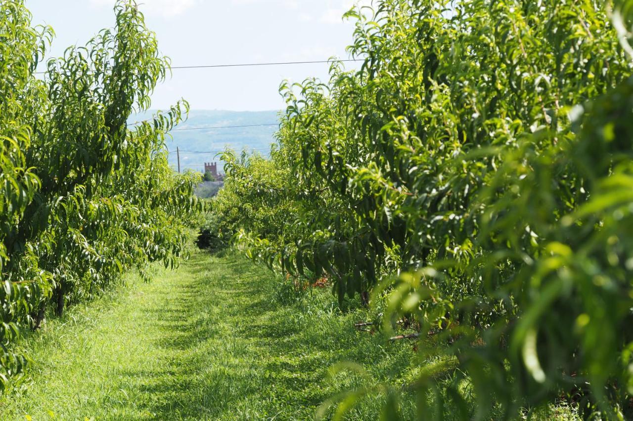 Agriturismo Fior Di Maggio Пескантина Экстерьер фото