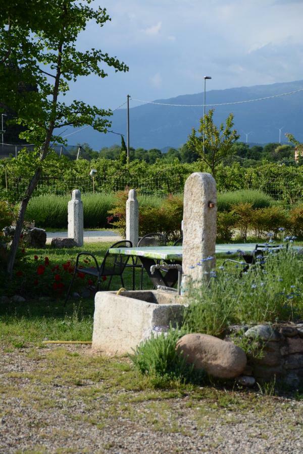 Agriturismo Fior Di Maggio Пескантина Экстерьер фото