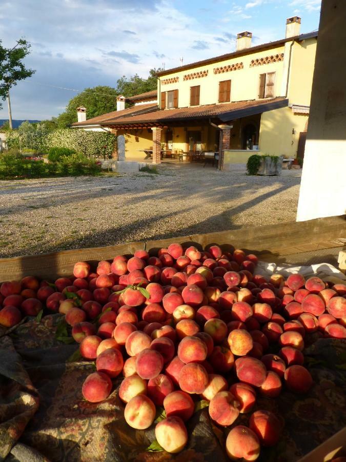 Agriturismo Fior Di Maggio Пескантина Экстерьер фото